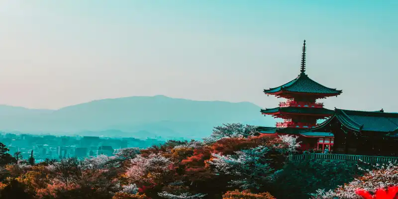 the Kinkaku-ji 