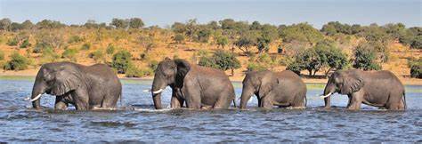 Victoria Falls