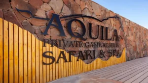 Aquila Safari