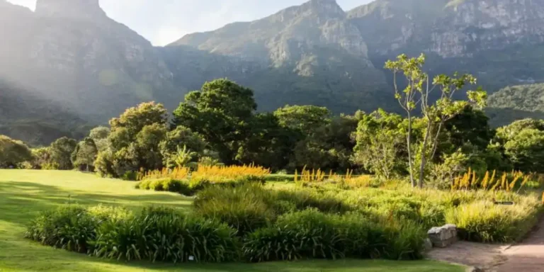 Kirstenbosch