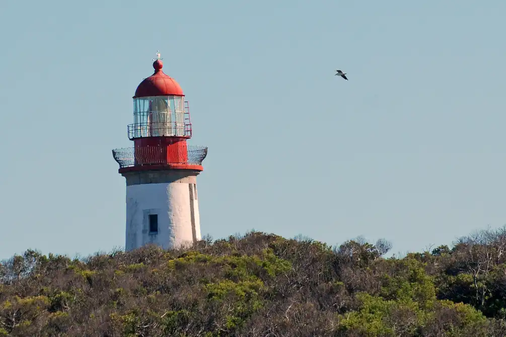 Robben Island tours