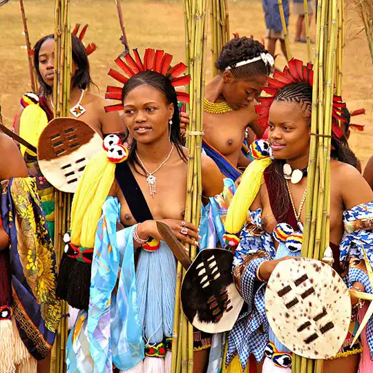 Group of women in traditional attire, adorned with colorful fabrics, ornate headpieces, and shields, participating in a cultural celebration.